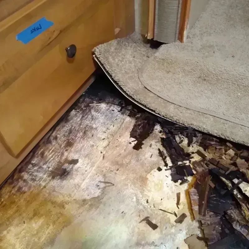 Best Wood Floor Water Damage Service in Simpson County, MS